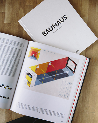 this book is about Bauhaus movement